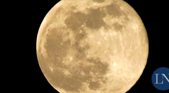 In tanti con il naso all’insù per ammirare la Super Luna