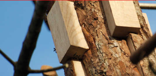 Un contributo lecchese all’installazione di Michele De Lucchi all’orto botanico di Padova