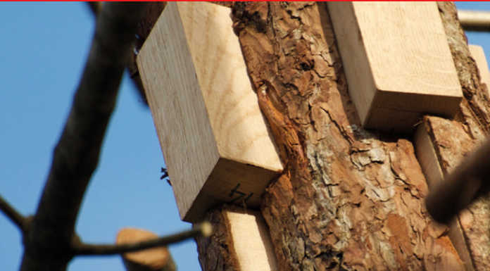 Un contributo lecchese all’installazione di Michele De Lucchi all’orto botanico di Padova