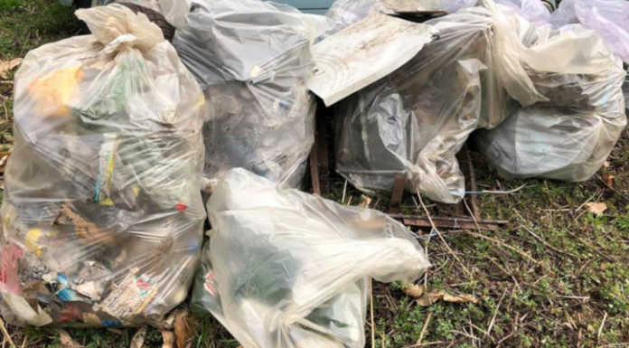 Brivio, abbandono di rifiuti: in pochi giorni, 600 immagini dalla fototrappola