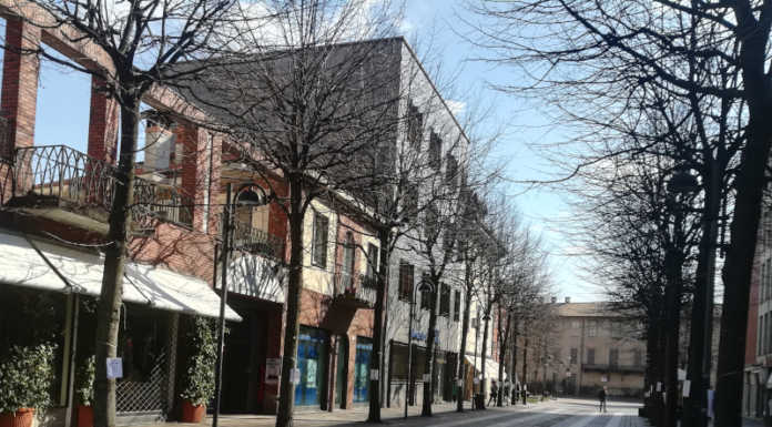 A Merate un progetto pilota per contrastare la “melata” dei tigli