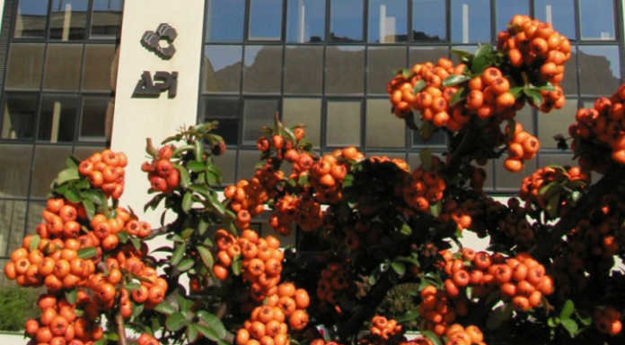 Api Lecco. Nuovo Codice della crisi d’impresa: novità e obblighi per le Pmi