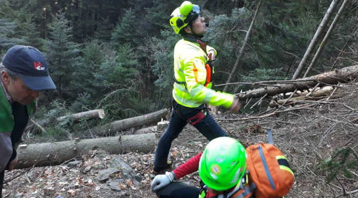 Morbegno, boscaiolo colpito da un tronco, soccorso dal Cnsas