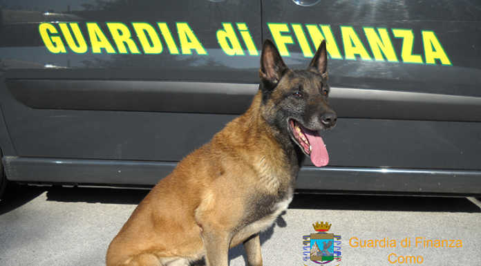 In dogana con sei chili di eroina, ‘incastrato’ dal cane antidroga