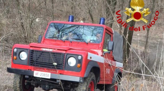 Cane smarrito nei boschi, ricerche in corso con l’aiuto dei pompieri