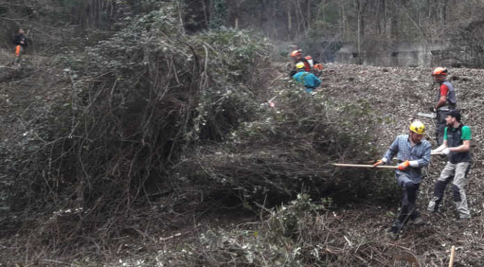 Rancio. Gruppo Antincendio, ultimo grosso intervento sul vallo paramassi