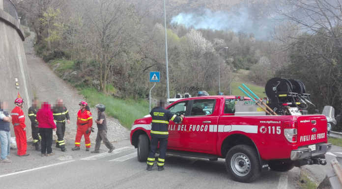 Incendio boschivo in località Cavagiozzo, Vigili del Fuoco in azione