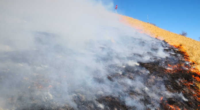 Fiamme sul Monte Cornizzolo, domato l’incendio scoppiato in mattinata