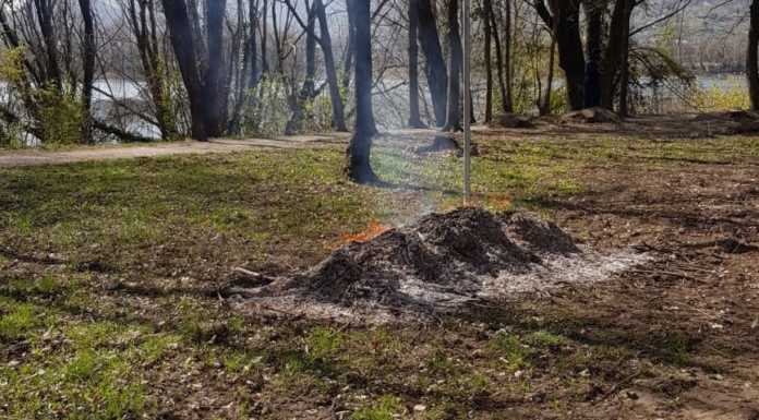 Fiamme nella zona del canneto a Calolzio. Mazzoleni: “Non basta tagliare le piante”