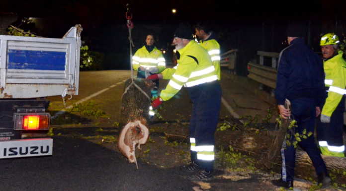 Vento fortissimo: disagi in tutto il Lecchese
