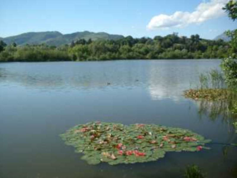 Lago di Sartirana, controdeduzioni al piano della riserva ...