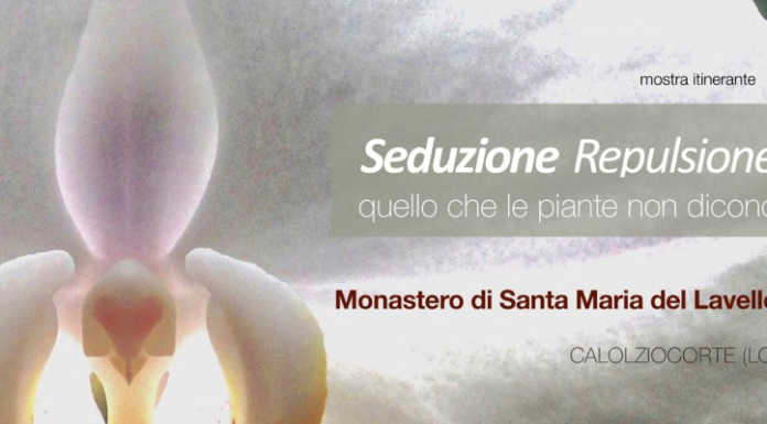 In mostra al Lavello: “Seduzione Repulsione: quello che le piante non dicono”