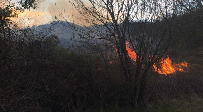 Valgreghentino. A fuoco alcune sterpaglie, intervento dei Vigili del Fuoco