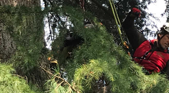 Lavori nel parchetto di via Lombardia a Santa Maria Hoè