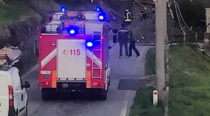 Ello. Pianta si abbatte sulla strada per Dolzago, intervento dei Vigili del fuoco