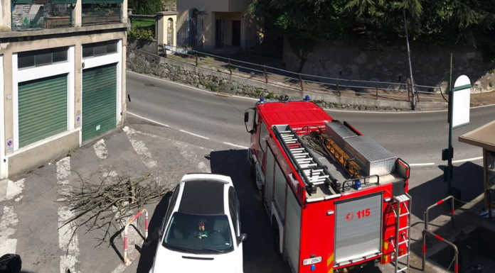 Vigili del Fuoco a San Giovanni per alcuni rami sulla vecchia Lecco-Ballabio