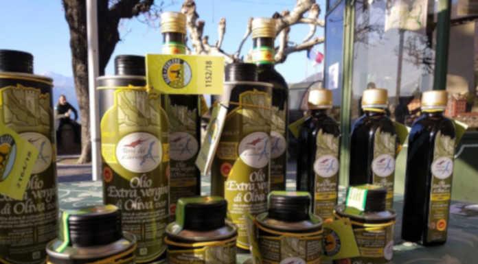 Bellano. L’Olio di qualità è in tavola per i bambini della scuola di Perledo