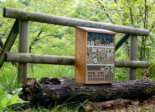 Unire le forze in difesa delle api: collaborazione tra Wwf Lecco e Conad