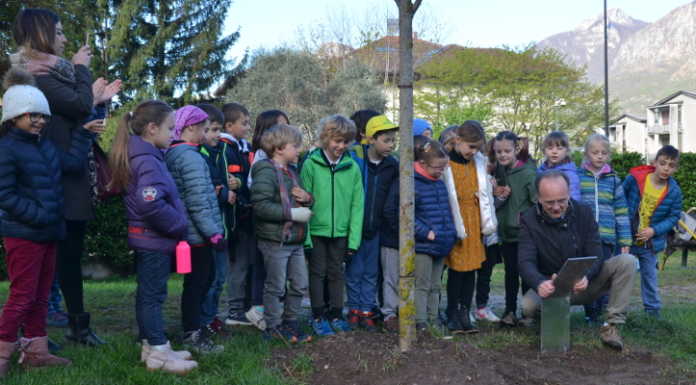 Progetto “Ventidue Alberi”, ultime piantumazioni a Villa Eremo e Villa Gomes