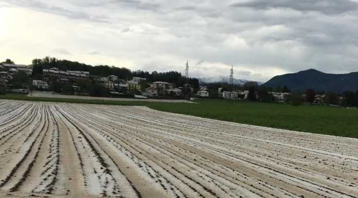 Temporale e grandine, Coldiretti: “Danni a coltivazioni e strutture”