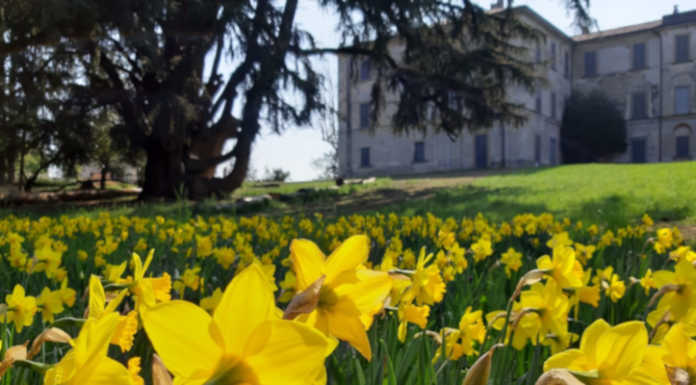 Con “Un fiore per Villa Greppi” giardini aperti il 7 e il 14 aprile