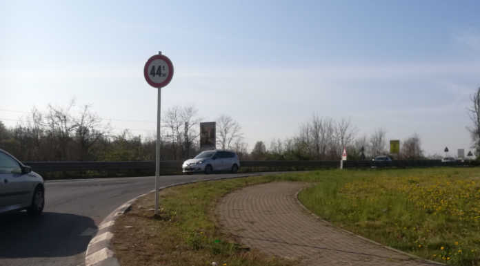 Osnago, stop ai bisonti sul cavalcavia della Sp 342