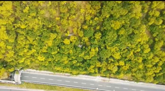VIDEO – Rocciatori al lavoro sopra la SS36. Le immagini del drone