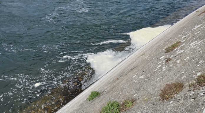 Scarichi nel lago di Olginate. Simonetti: “Presenterò una querela in Procura” scarichi nel lago di Olginate