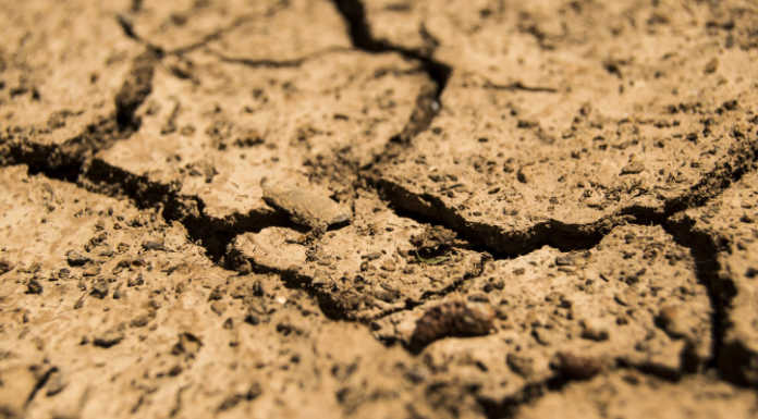 La Coldiretti attende la pioggia: “Le coltivazioni hanno sete”