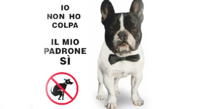 Merate, il cane fa i bisogni nell’aiuola e il padrone insulta i “ghisa”: multato e denunciato