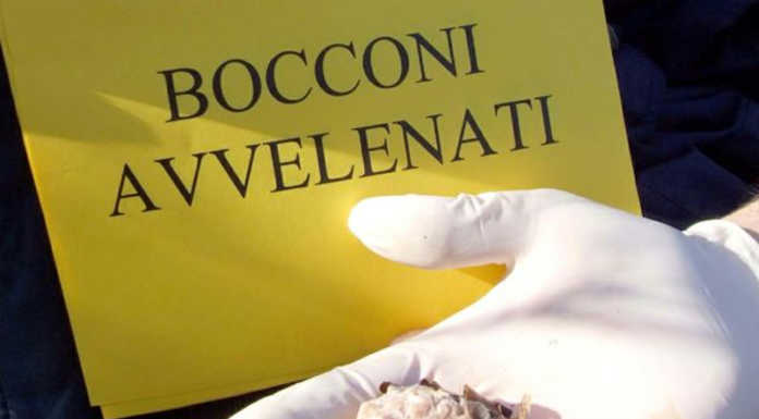 Esino Lario. Esche avvelenate a San Pietro di Ortanella: “Massima attenzione”
