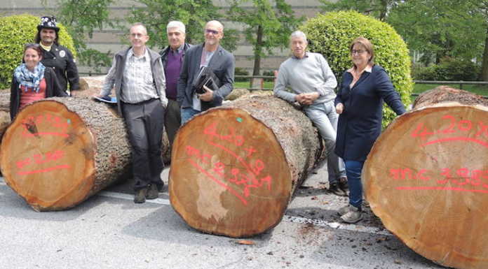 Forlener, a Lariofiere torna il salone dell’energia dal legno