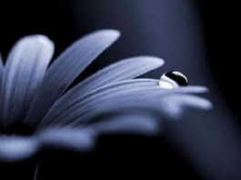 Airuno in lutto per la scomparsa di Eugenio Manzocchi lutto