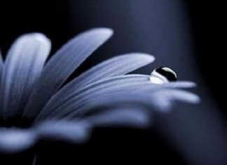 I messaggi di cordoglio nel ricordo di Gabriele Perossi lutto