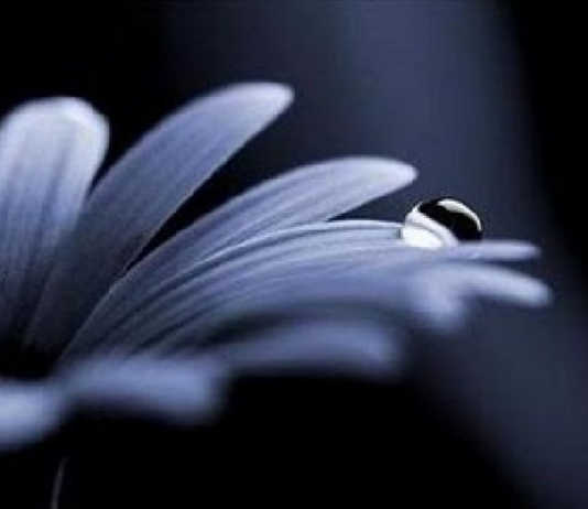 Airuno in lutto per la scomparsa di Eugenio Manzocchi lutto