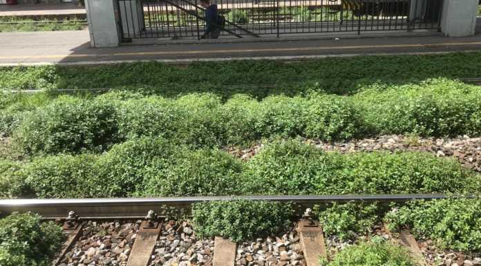 Lecco. C’è un ‘grande prato verde’ tra i binari in stazione
