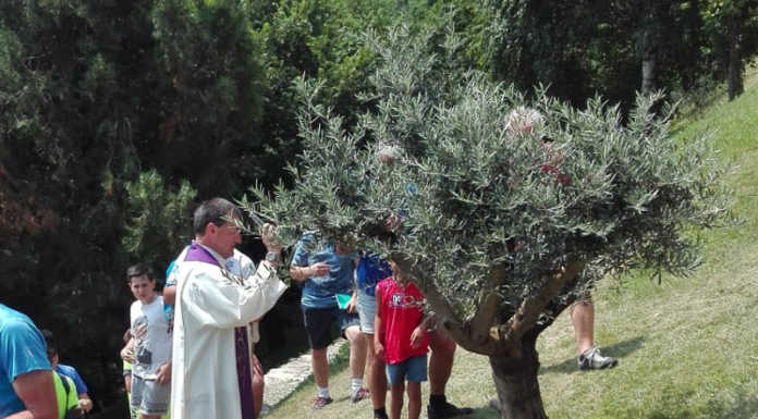 A San Pietro al Monte piantato un ulivo in memoria del giovane Chetra Sponsiello