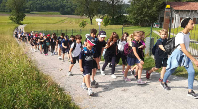 Merate, gli alunni del Villoresi in gita a piedi al lago di Sartirana