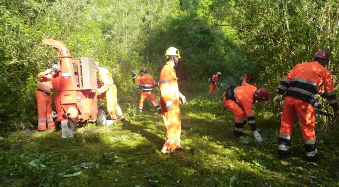 Garlate, volontari al lavoro per ripulire il torrente Molina