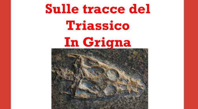 Sulle tracce del Triassico in Grigna, serata alla libreria Ibs