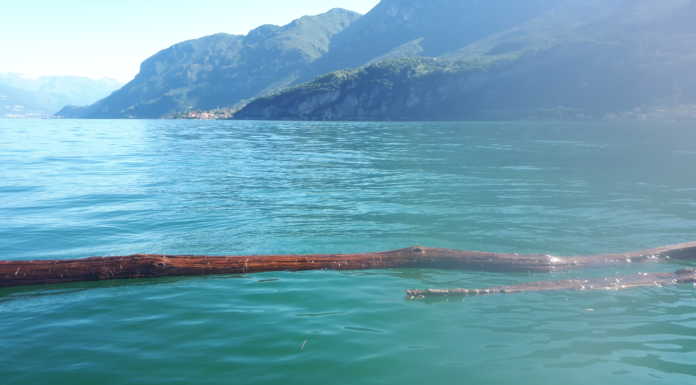 Detriti e tronchi d’albero nel lago. Prestare attenzione