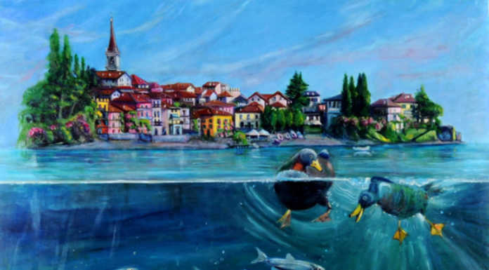 “Sottosopra”, le opere di Antonella Ciceri al palazzo del Commercio