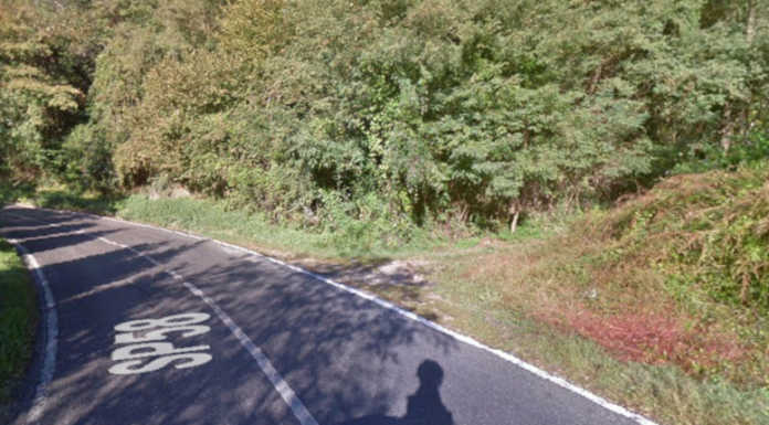 Santa Maria Hoè, blitz nel bosco della droga ai lati della Sp 58. Due spacciatori in fuga