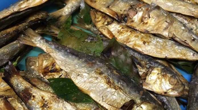 “Agoni in Contrada” doppio appuntamento nel weekend a Bellano