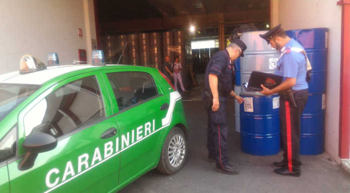 Milano, un’intera azienda sequestrata dai Carabinieri Forestali