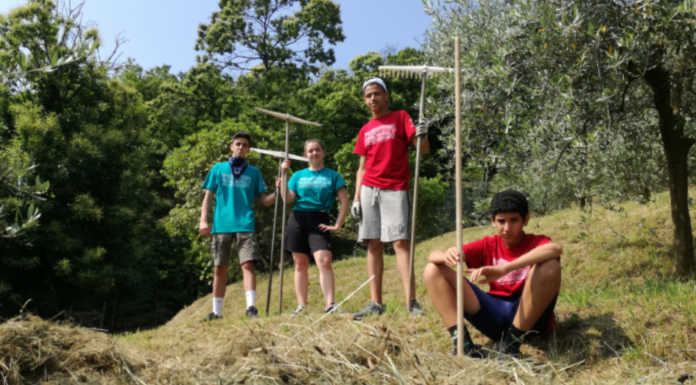 Living Land: 350 giovani coinvolti in attività pre lavorative e sociali