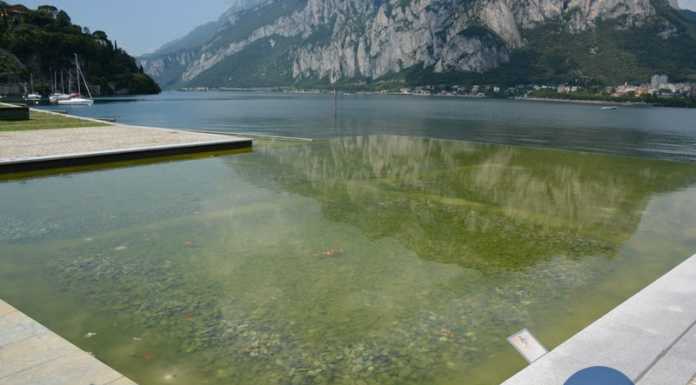 Malgrate. Fontane ‘verdi’ sul lungolago. Il sindaco: “Eppure facciamo manutenzione”