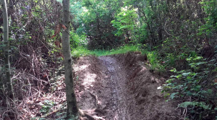 Monte di Brianza. “Le moto da cross e trial devastano pendii e versanti”