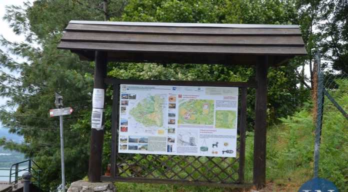 Galbiate. Visita guidata gratuita al museo archeologico del Barro