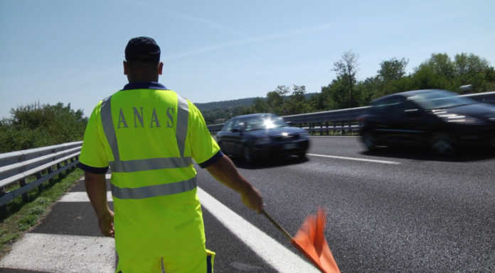 Alto Lago. Caduta alberi, SS36 chiusa in mattinata a Piona Anas